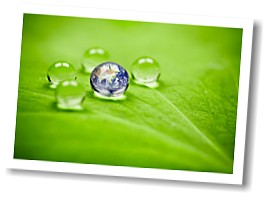 Gr&uuml;ne Globalisierung