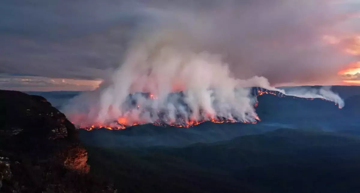 Waldbrand in den Blue Mountains in Australien