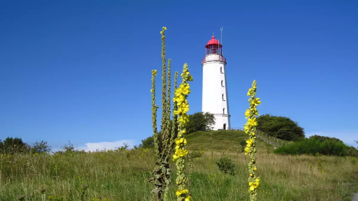 Leuchtturm auf Hiddensee Leuchtturm auf Hiddensee