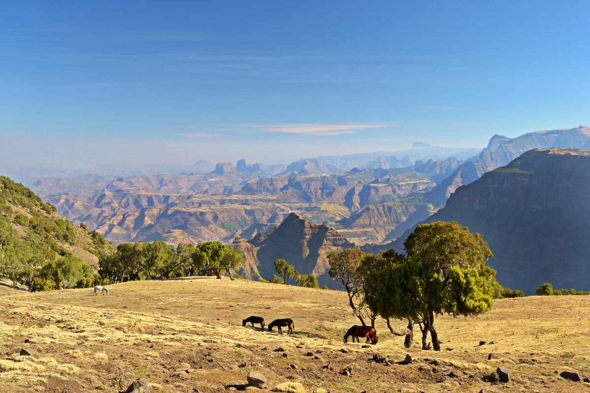 Sämen Nationalpark (Äthiopien)
