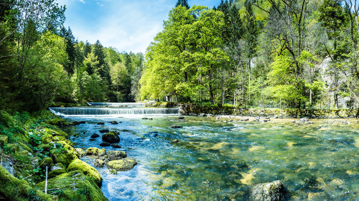 Die Areuse (Neuenburger Jura/ Schweiz)