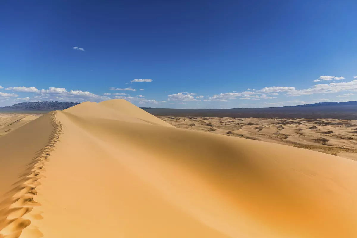 Wüste Gobi (Mongolei)